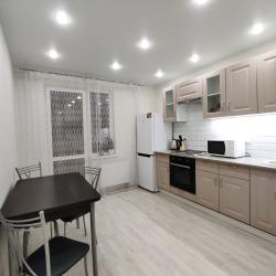 Фото Апартаменты на улице Революционная 101Г