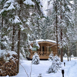 Гармония леса