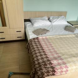 Фото Отель Лев