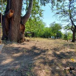 Фото Отель Беной Тревел Озеро