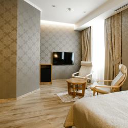 Номер студия премиум с 1 двуспальной кроватью