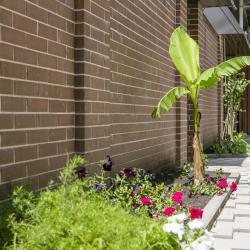 Фото Отель Smart People Eco Home (Смарт Пипл Эко Хоум)