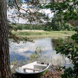 Фото Отель Вили Улей Волга