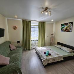 1-комнатные апартаменты студия