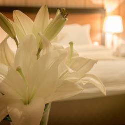 Фото Отель Grand Erbil Hotel (Гранд Ирбил)