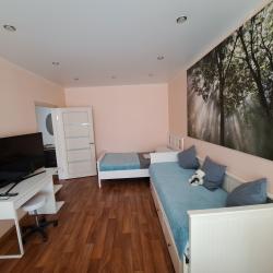 Апартаменты улучшенные Улучшеная квартира с 1 спальней в