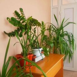 Фото Отель Авеню