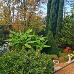 Романов — 5f98ce49cdb044c44ea2d89846ba0f45