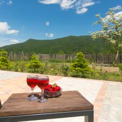 Фото Отель Dali (Дали)