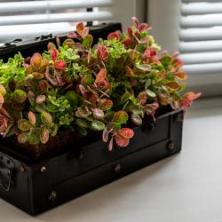 Фото Отель Loft Garden (Лофт Гарден)