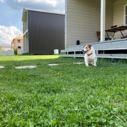 Фото Отель Прибрежный