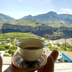 Фото Отель Родное гнездо