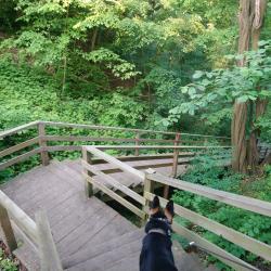 Фото Апартаменты на улице Новая дом 1