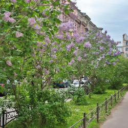 Фото Отель Питерские каникулы на улице Лахтинская