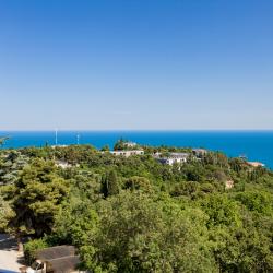 Фото Премиум Парк отель