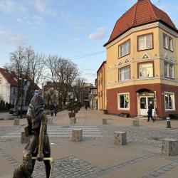 Фото Отель Baltic Resort (Балтик Резорт) на проспекте Курортный 8