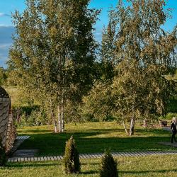 Фото Отель Happy Tree Camp (Хэппи Три Кемп)