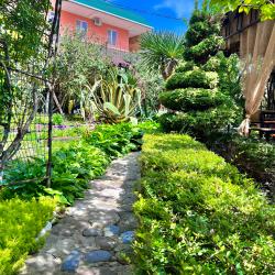 Фото Отель Каролина