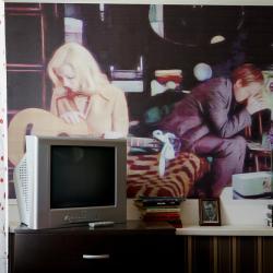 Фото Отель Родина