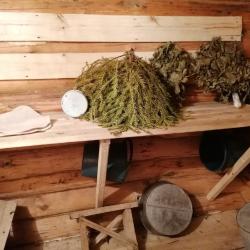 Фото Отель Белкин Дом