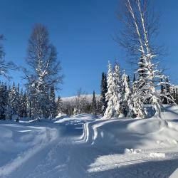 Фото Отель Vektor (Вектор)