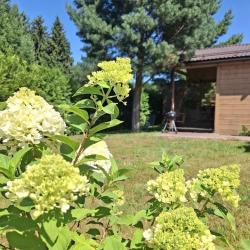 Фото Отель Домики на Луговом