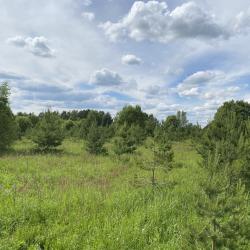 Фото Отель Алтын Сарай