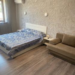 Комната люкс с 1 двуспальной кроватью