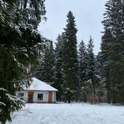 Forest Luxury Apartments 1