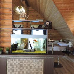 Номер студия