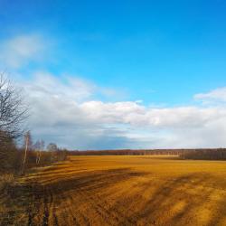 Фото Отель Гостевой дом Брейтово