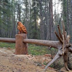 Фото Отель Лапландская деревня