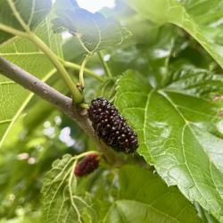 Фото Отель Рита