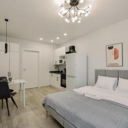 1-комнатные апартаменты студия пр-т Конструктора М.Т. Калашникова, 25