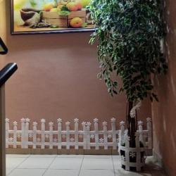 Фото Отель Абрикос