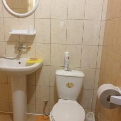 Фото Отель Сосновый двор