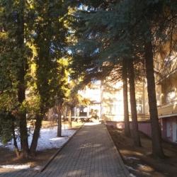 Фото Отель Пансионат Родина