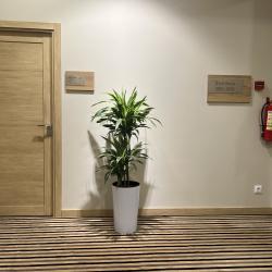 Фото Отель Bristol Hotel Tashkent (Бристол )