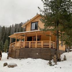 Коттедж стандарт Дом Петровича