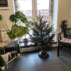 Фото Отель Scandi House (Сканди Хаус)