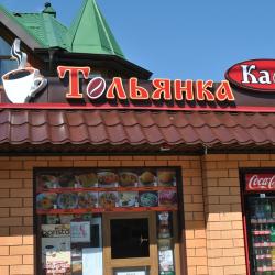 Фото Отель Тольянка