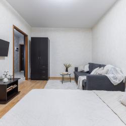 Фото Апартаменты на улице Сибгата Хакима 46