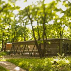 Фото Отель Дубровский парк-клуб