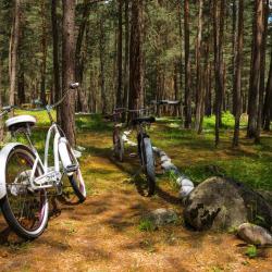 Фото Отель Sky Эльбрус (Скай Эльбрус)