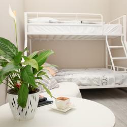 Фото Отель 1-к. квартира, 36 м², 3 кровати