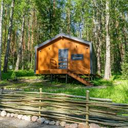 Дом с видом на лес гостиная со спальней (40 кв.м)