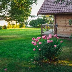 Фото Отель Загородный дом MAASJARV (бывш. На недельку до второго)