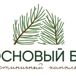 Фото Отель Сосновый бор