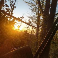 Фото Отель Town Park (Таун парк)