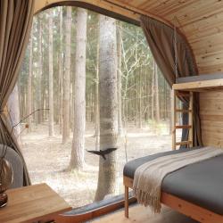 Номер стандарт комфорт